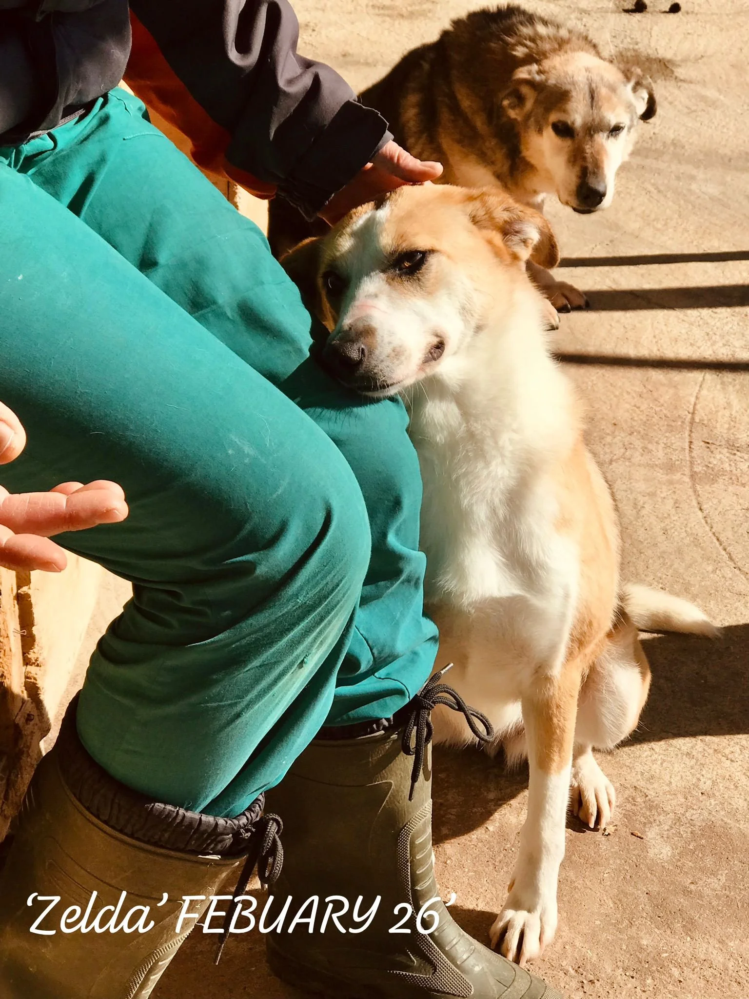 WhatsApp Image 2026-03-05 at 10.18.11.jpeg