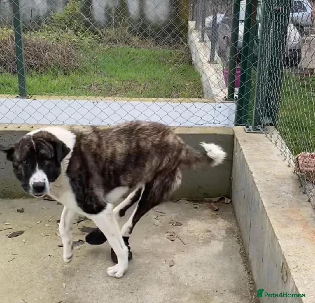 originalImage (5).webp