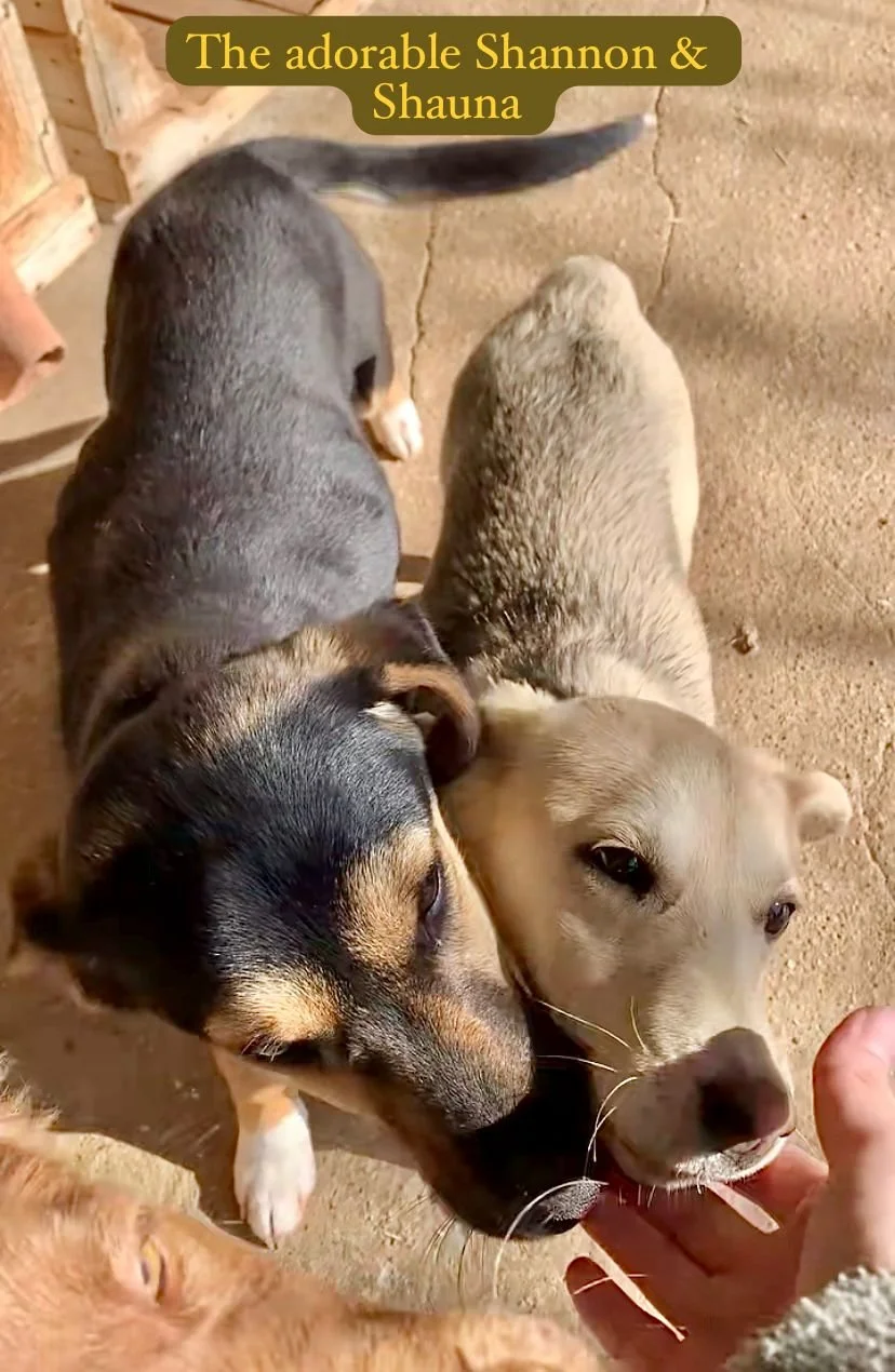 WhatsApp Image 2026-03-07 at 13.58.15.jpeg