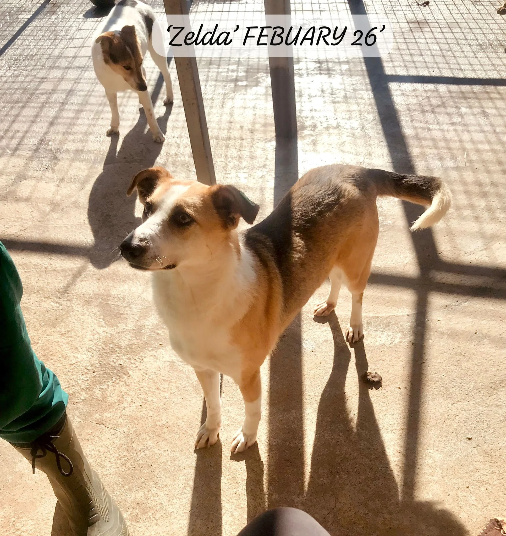 WhatsApp Image 2026-03-05 at 10.15.02.jpeg