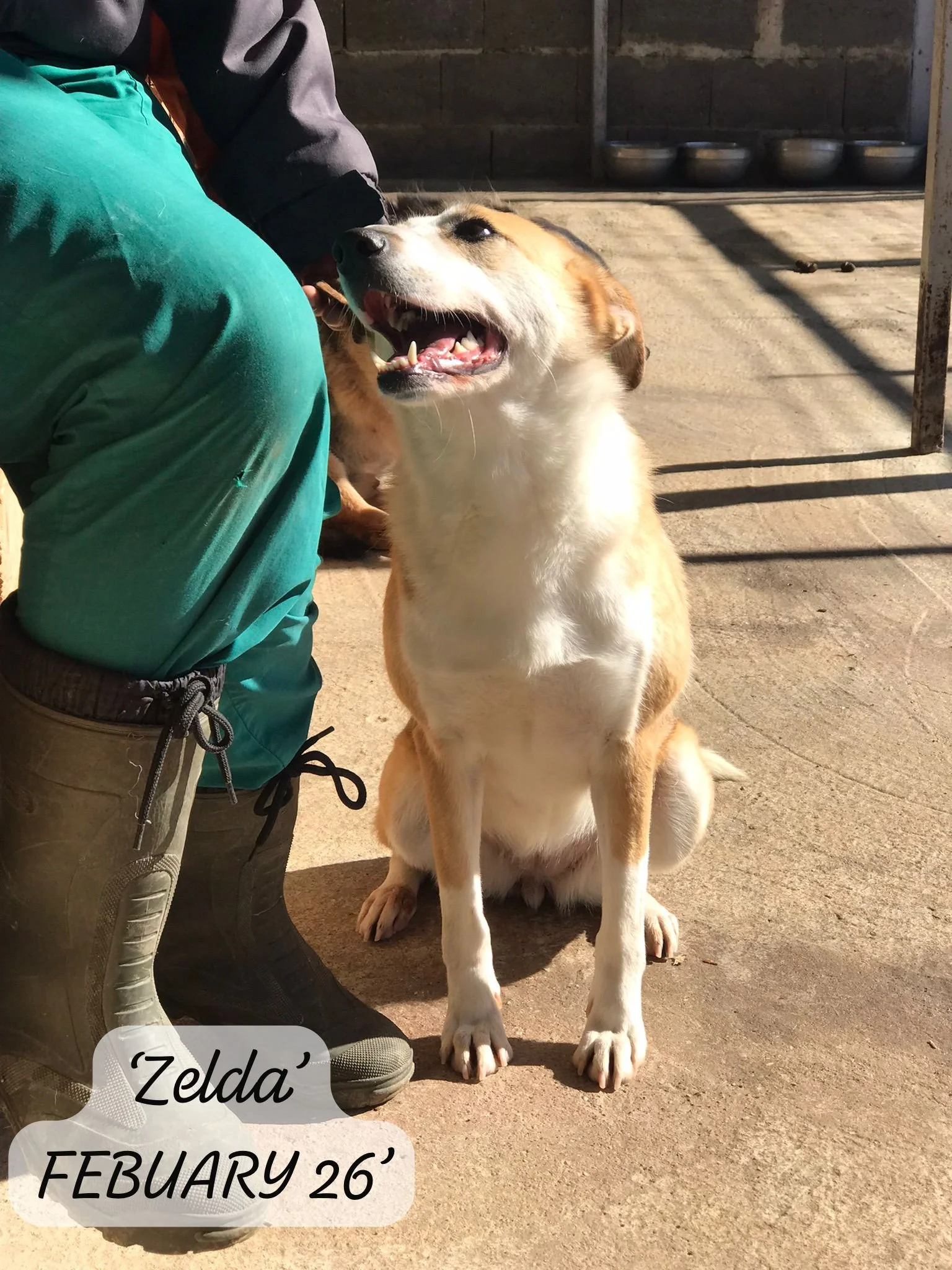 WhatsApp Image 2026-03-05 at 10.18.14.jpeg