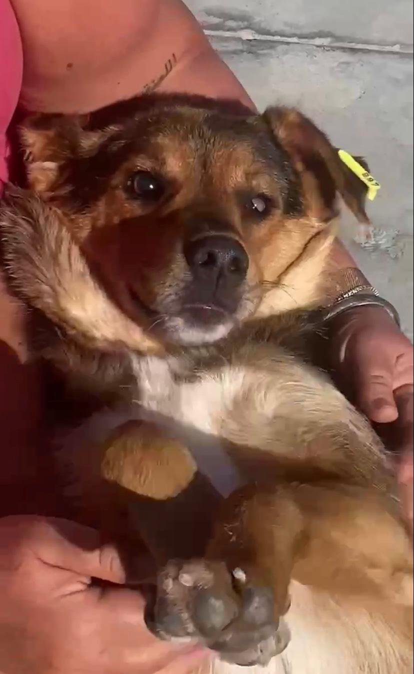 WhatsApp Image 2026-01-06 at 06.01.38.jpeg