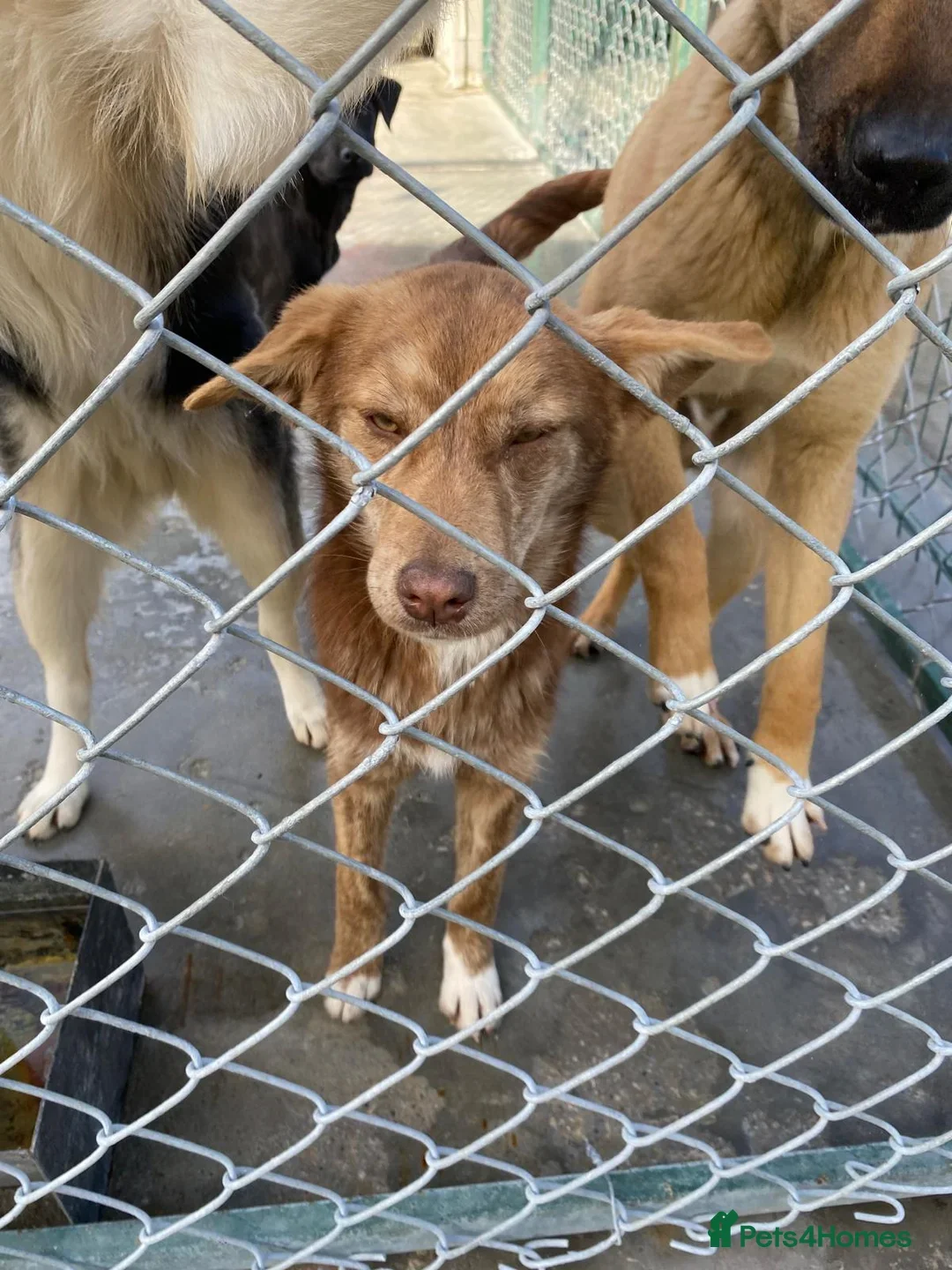 originalImage (3).webp