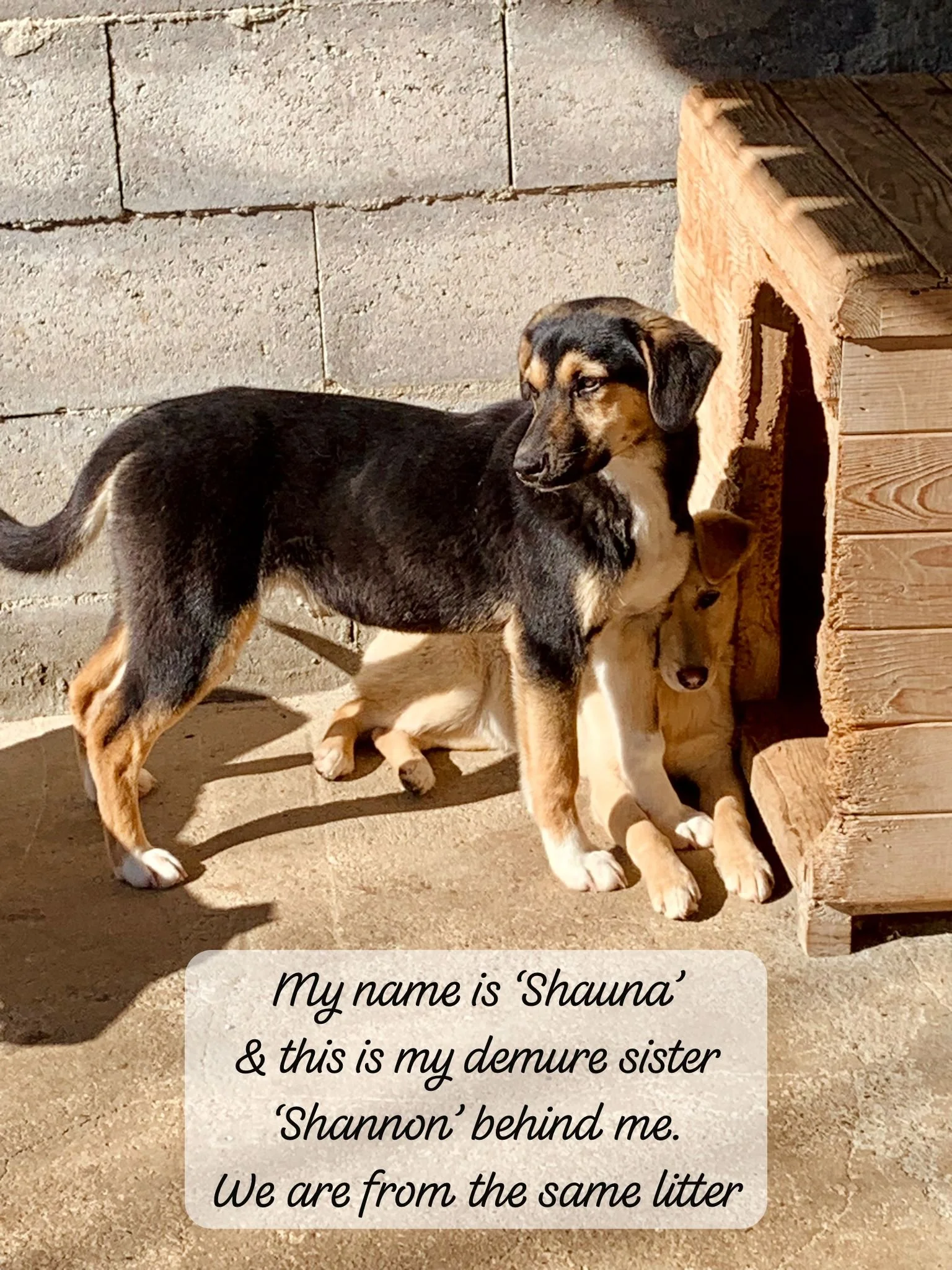 WhatsApp Image 2026-03-07 at 13.55.15.jpeg