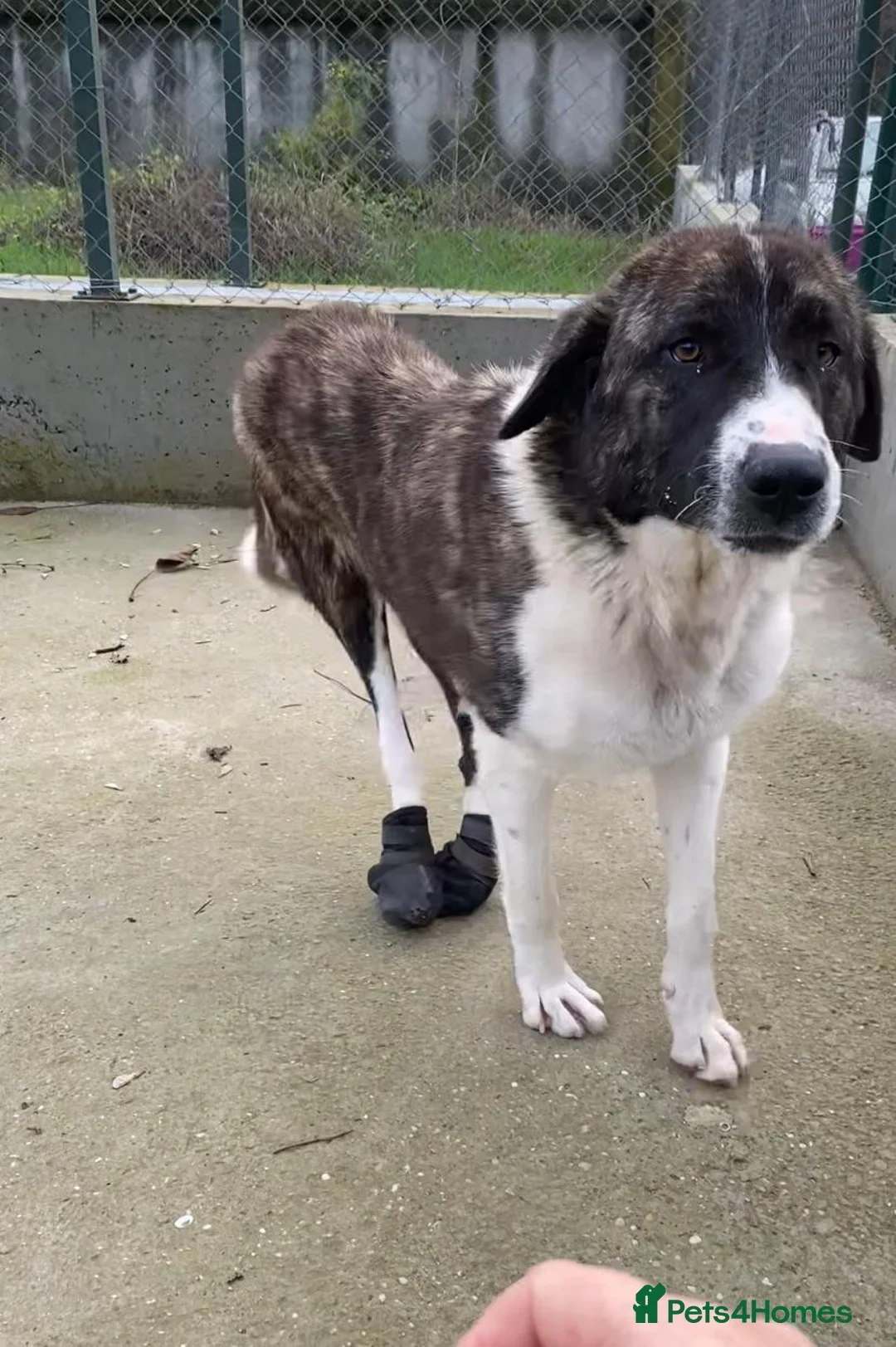 originalImage (7).webp