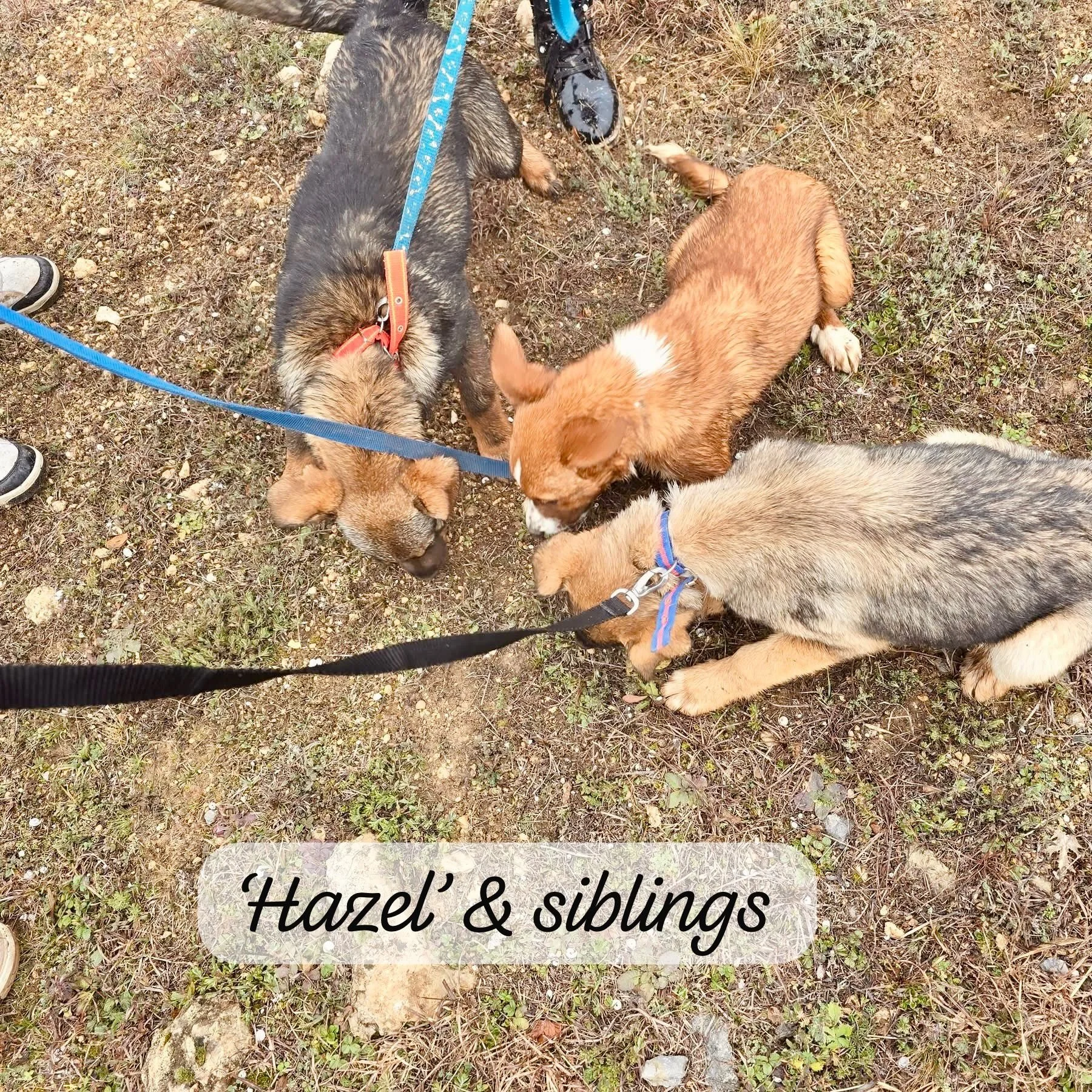 WhatsApp Image 2026-03-17 at 16.08.48 (1).jpeg