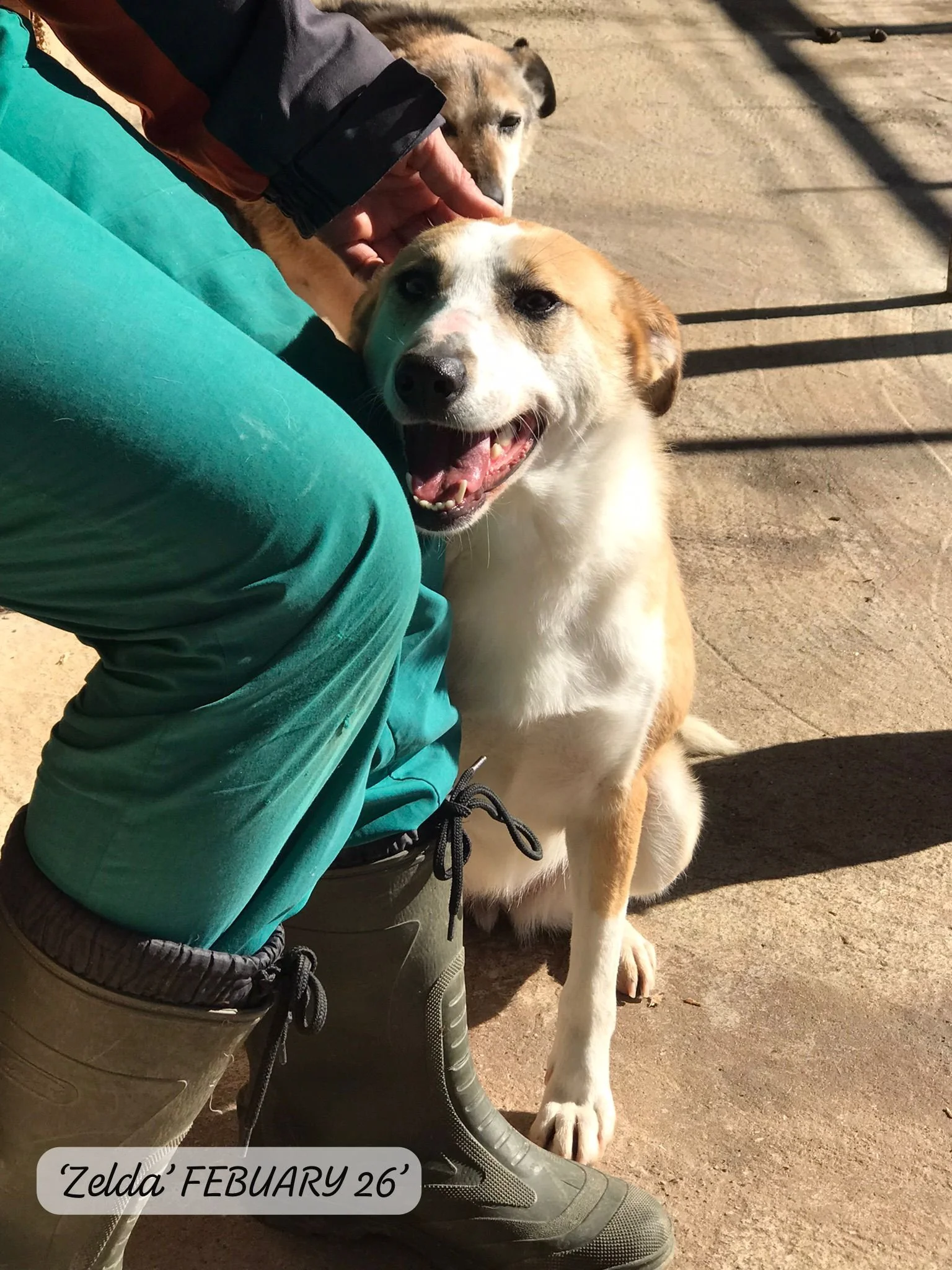 WhatsApp Image 2026-03-05 at 10.18.12 (1).jpeg