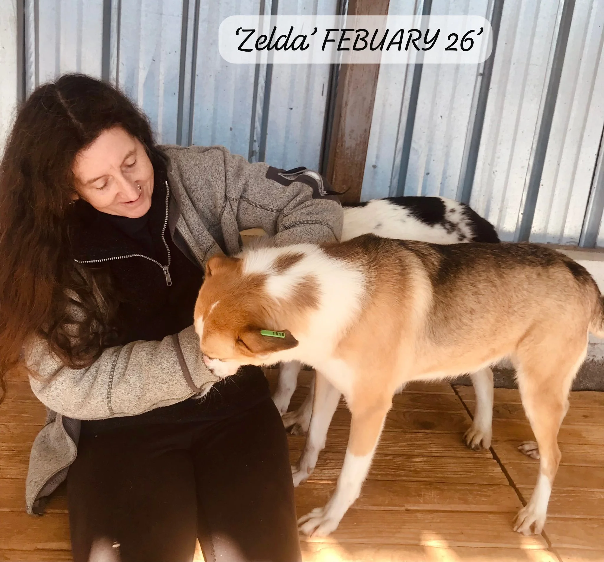 WhatsApp Image 2026-03-05 at 10.15.03 (2).jpeg