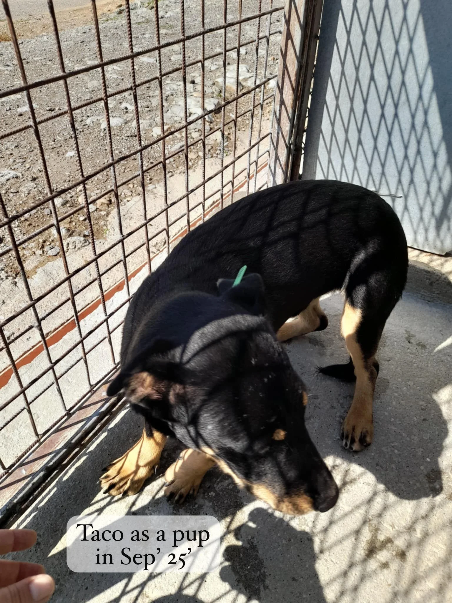 WhatsApp Image 2026-03-06 at 15.18.22 (1).jpeg