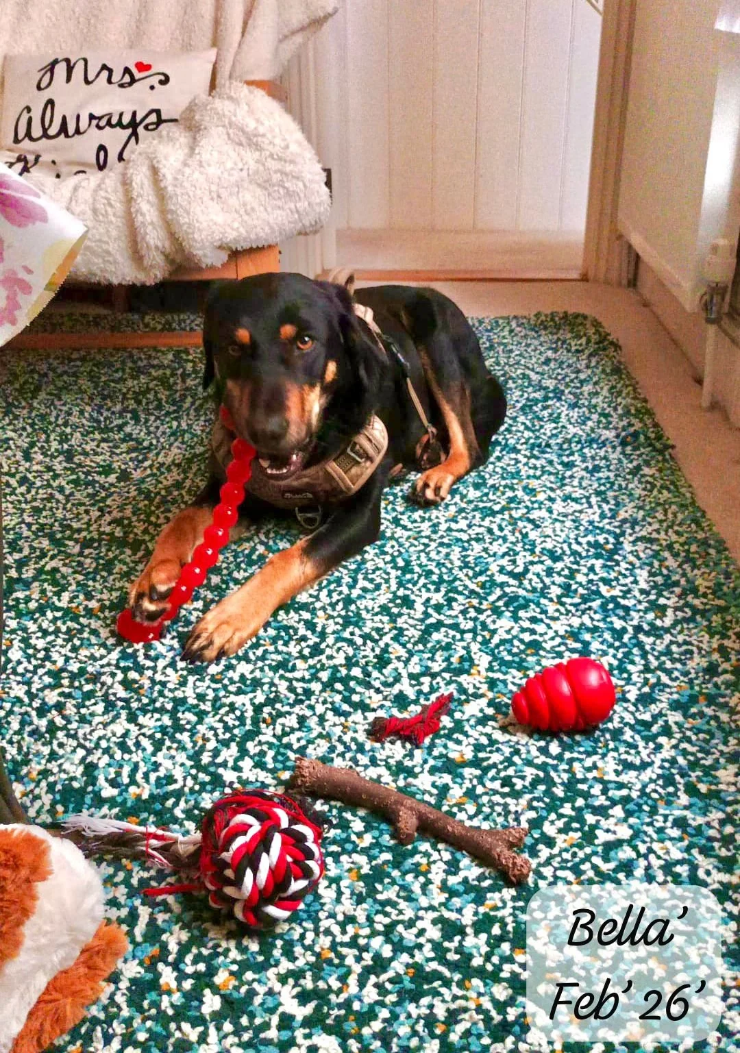 WhatsApp Image 2026-02-27 at 11.51.35 (3).jpeg