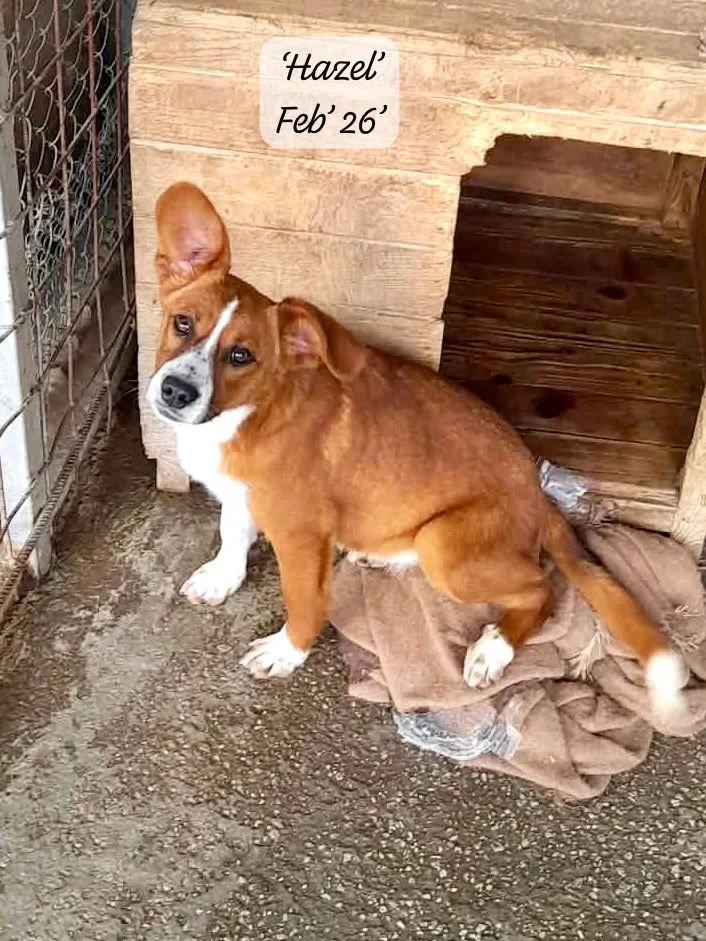 WhatsApp Image 2026-03-17 at 16.08.49.jpeg