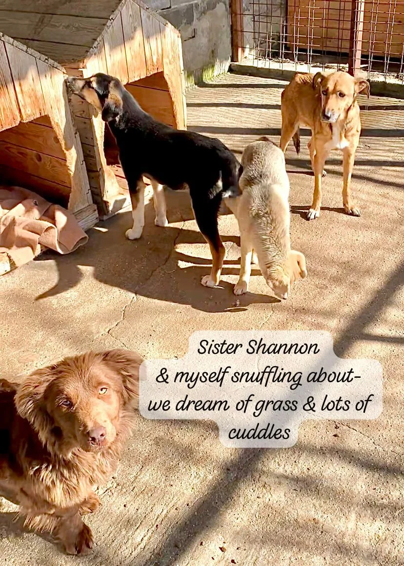 WhatsApp Image 2026-03-07 at 13.55.185.jpeg