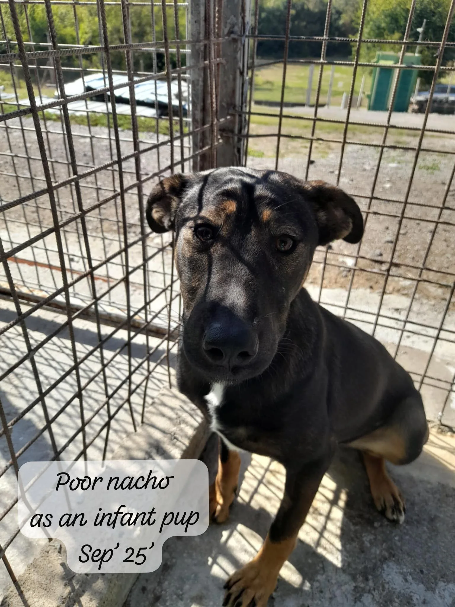 WhatsApp Image 2026-03-06 at 15.27.07.jpeg