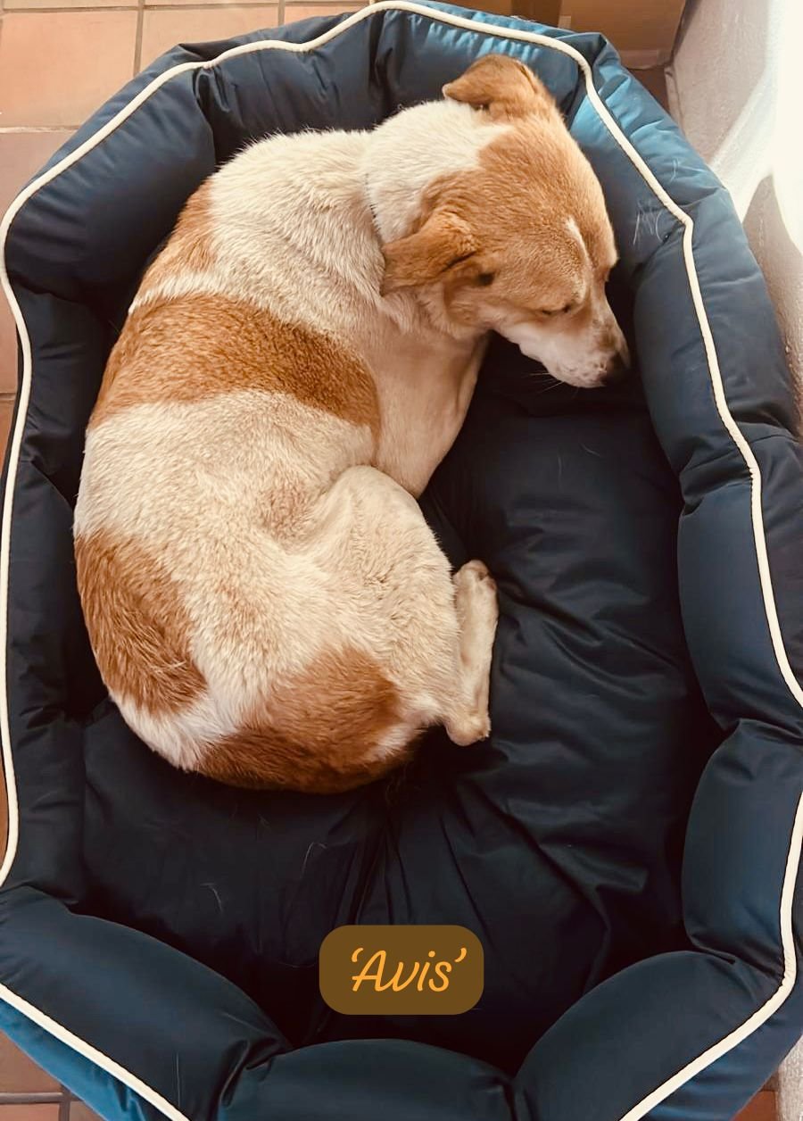 WhatsApp Image 2026-02-08 at 10.19.59.jpeg