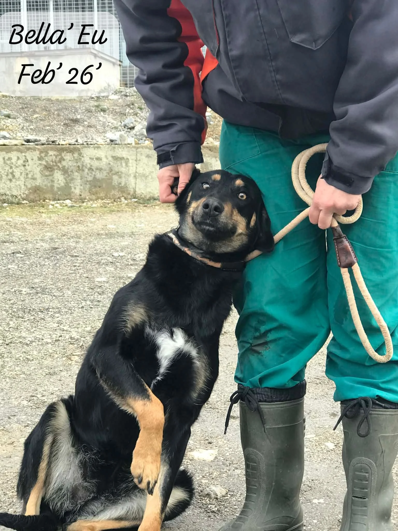 WhatsApp Image 2026-02-27 at 11.45.42 (1).jpeg