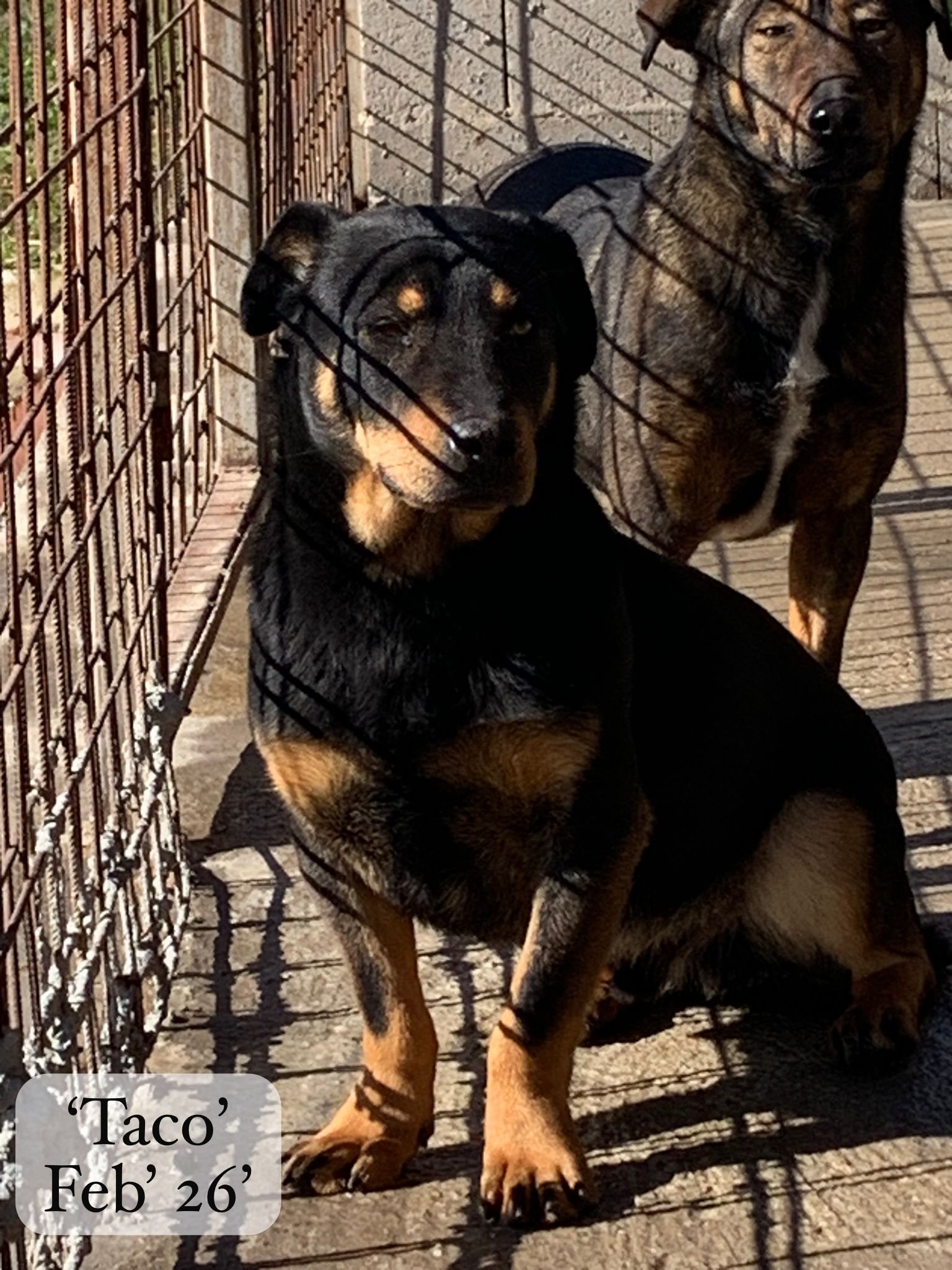 WhatsApp Image 2026-03-06 at 15.14.43 (3).jpeg