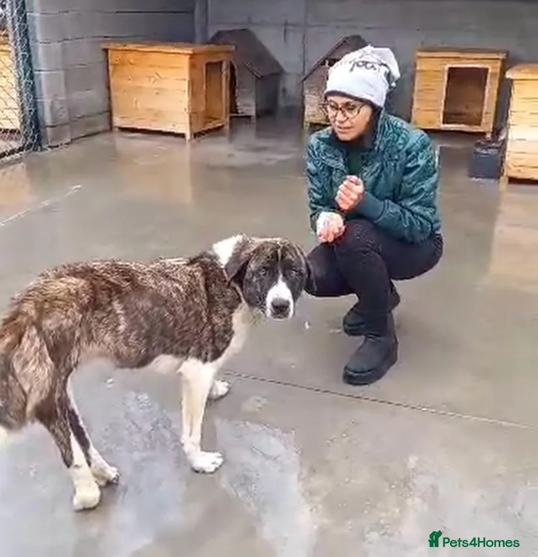 originalImage (1).webp