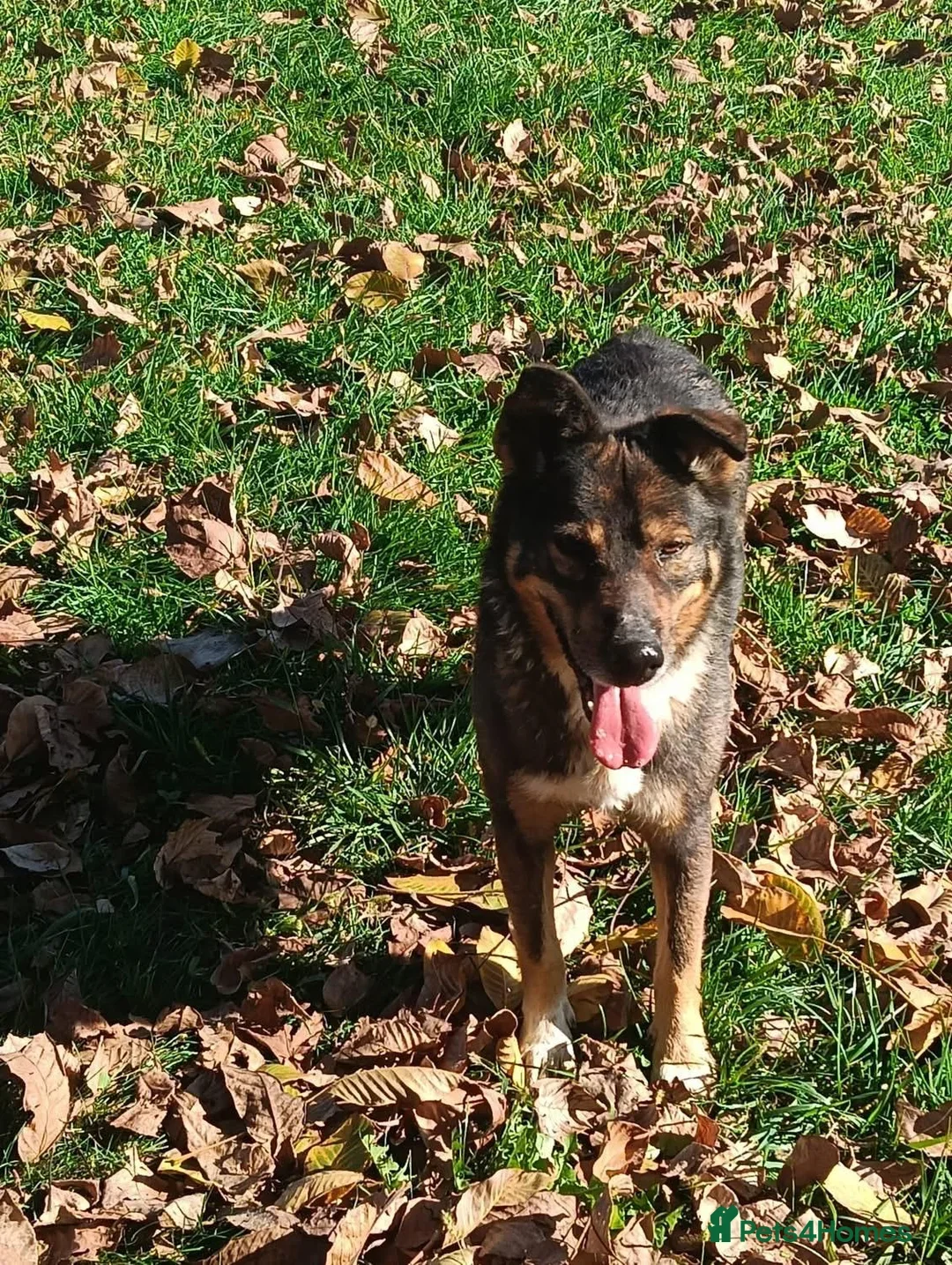 originalImage (7).webp