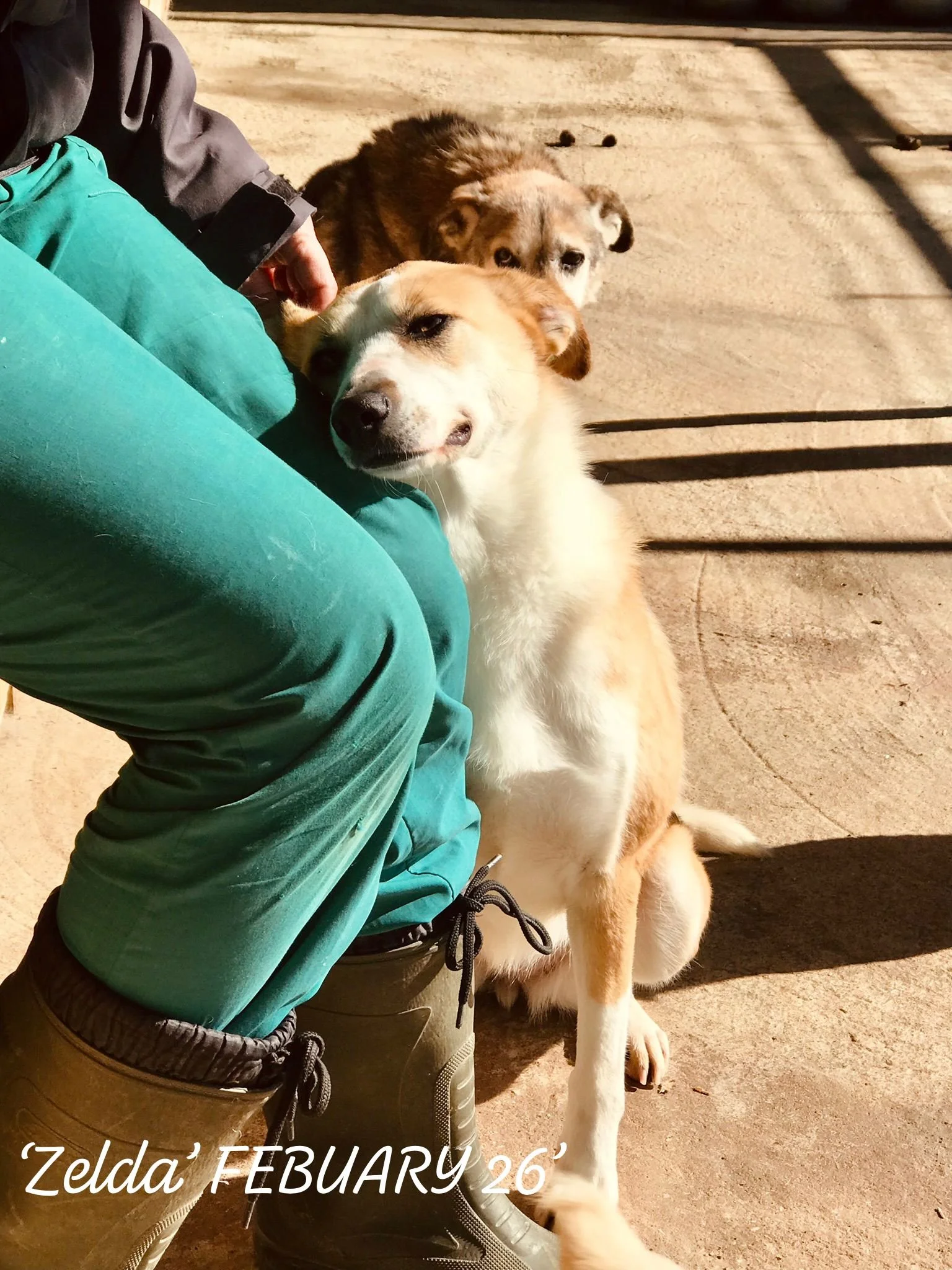 WhatsApp Image 2026-03-05 at 10.18.11 (1).jpeg