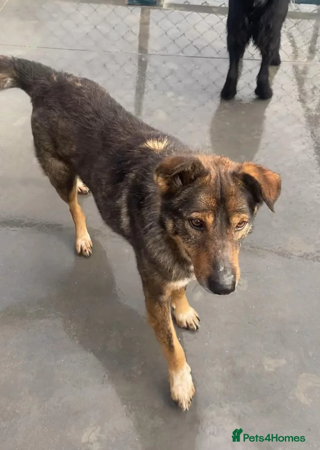 originalImage (3).webp