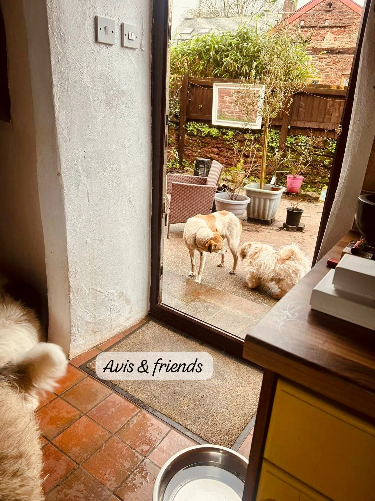 WhatsApp Image 2026-02-08 at 10.19.59 (3).jpeg