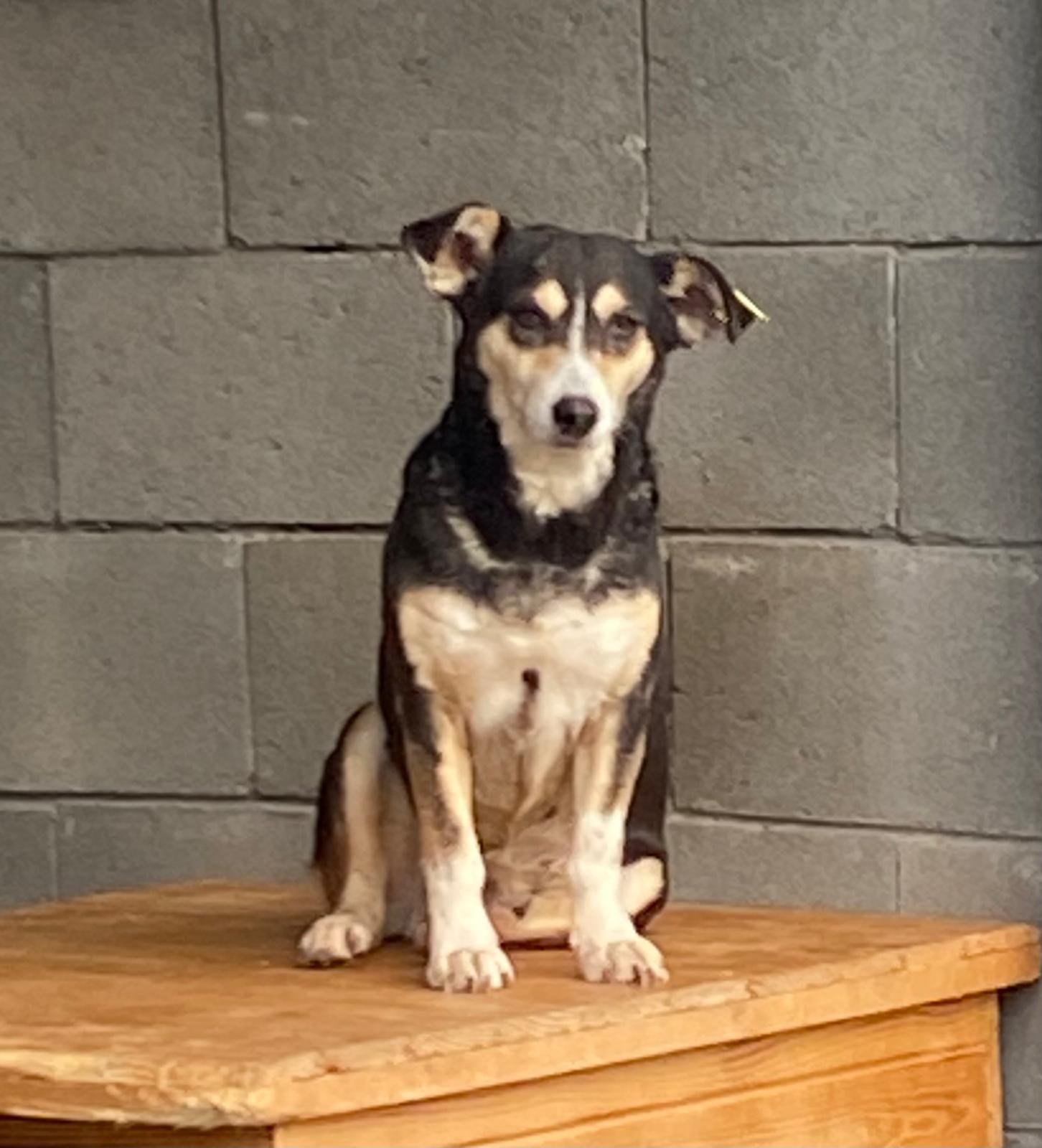 WhatsApp Image 2026-01-07 at 12.04.31.jpeg