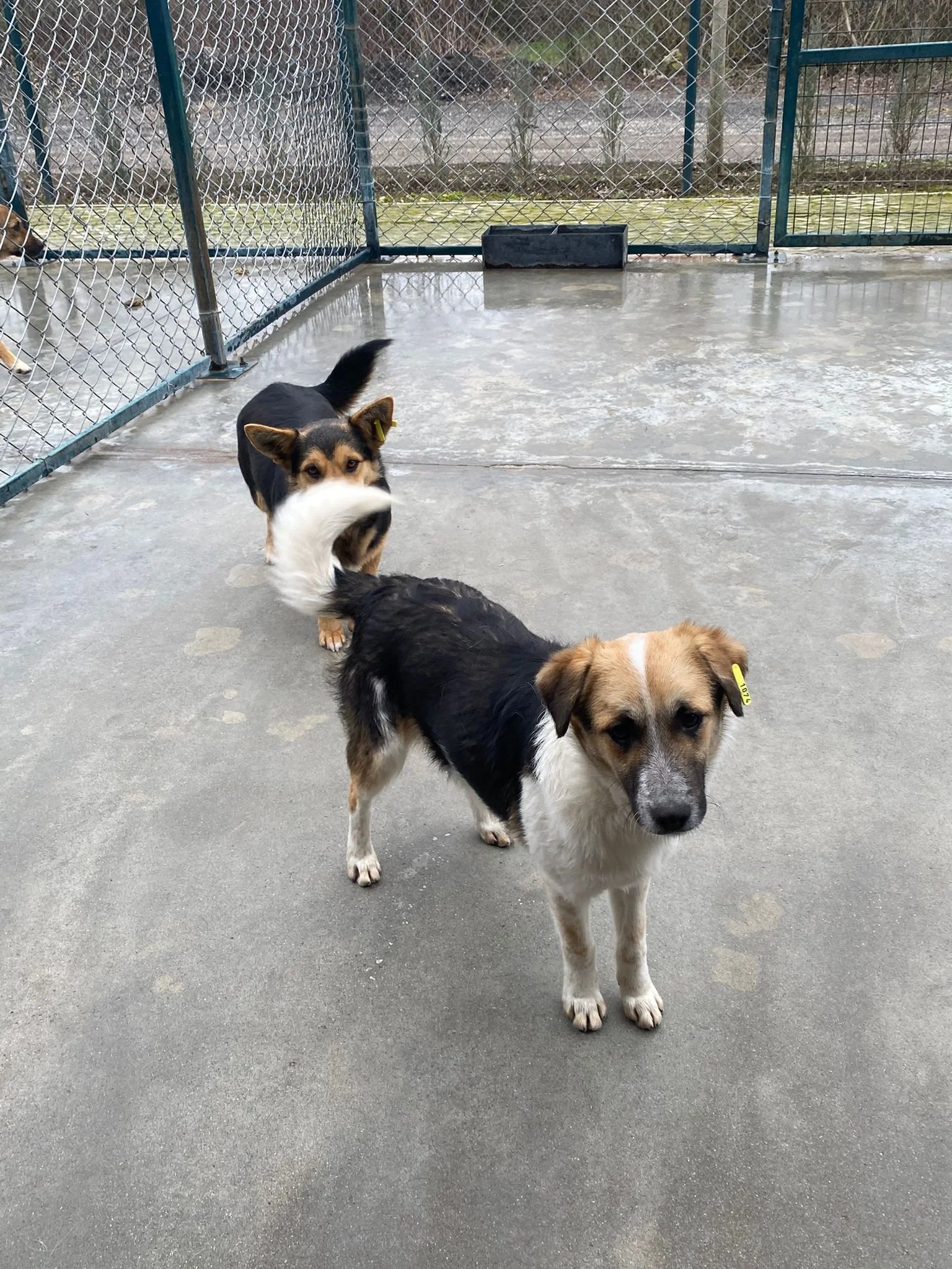 WhatsApp Image 2026-01-06 at 12.07.34.jpeg