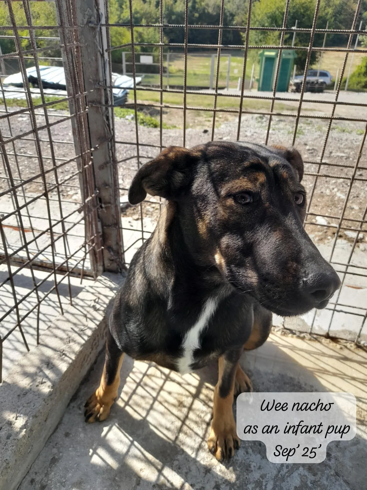 WhatsApp Image 2026-03-06 at 15.27.07 (1).jpeg