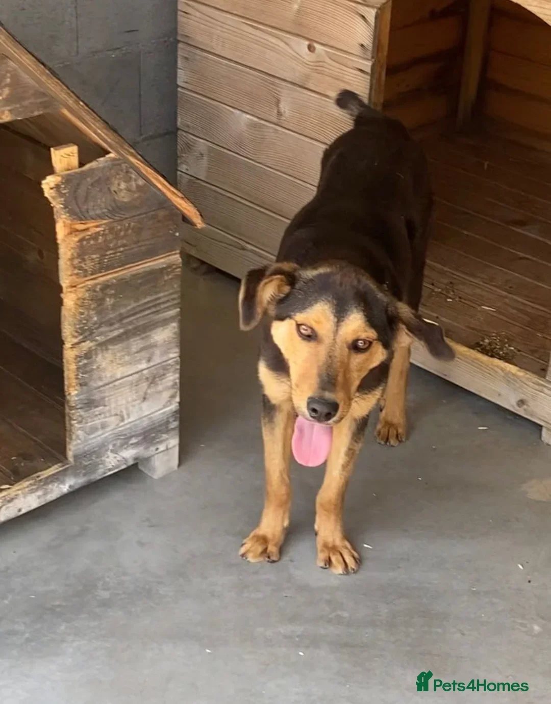 originalImage (1).webp