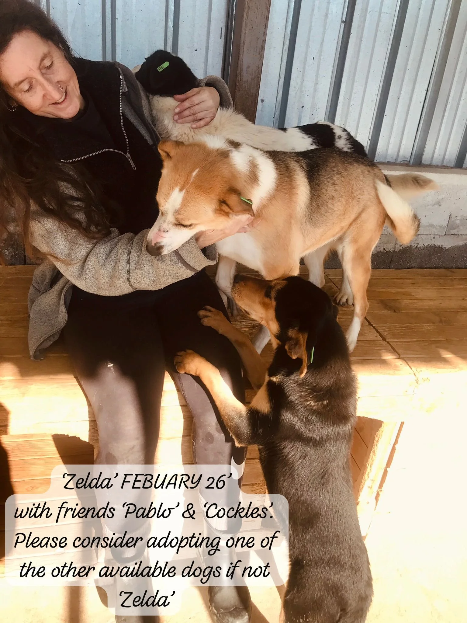 WhatsApp Image 2026-03-05 at 10.15.03 (3).jpeg