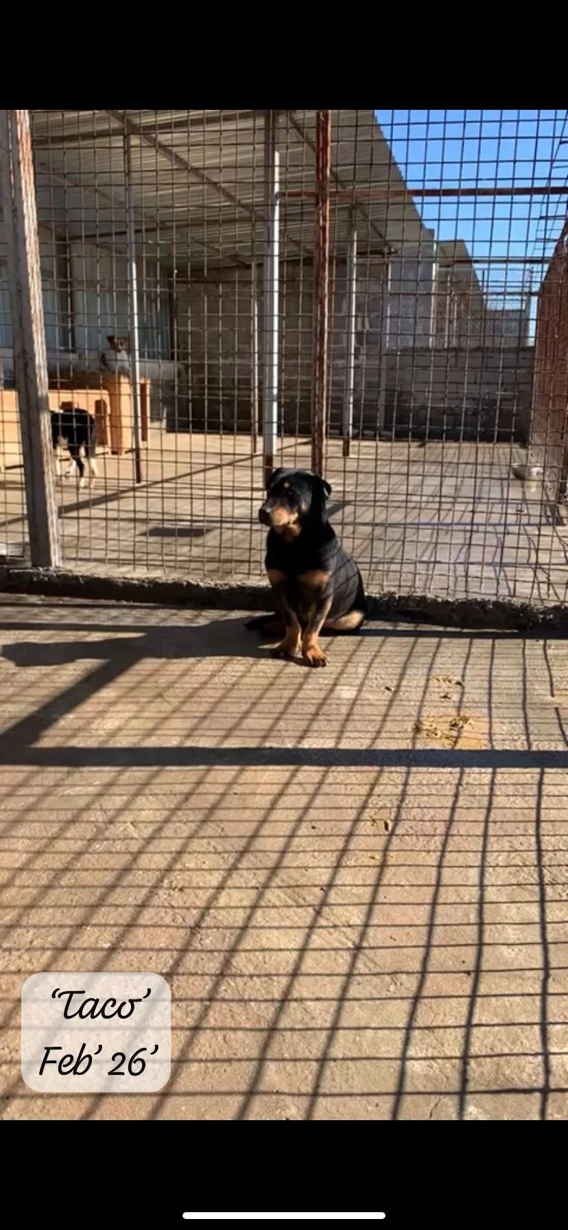 WhatsApp Image 2026-03-06 at 15.14.38.jpeg