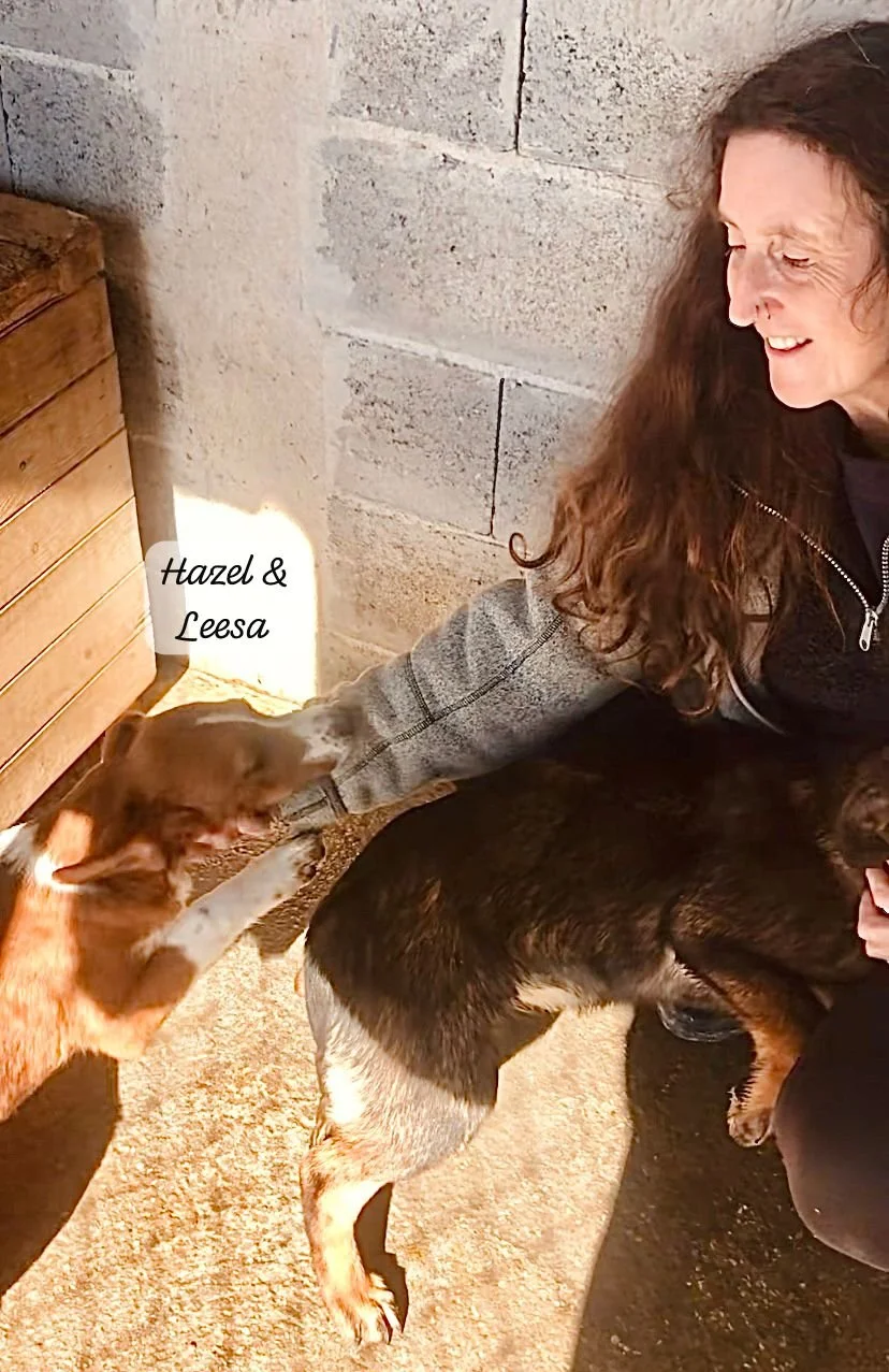 WhatsApp Image 2026-03-17 at 16.08.49 (3).jpeg