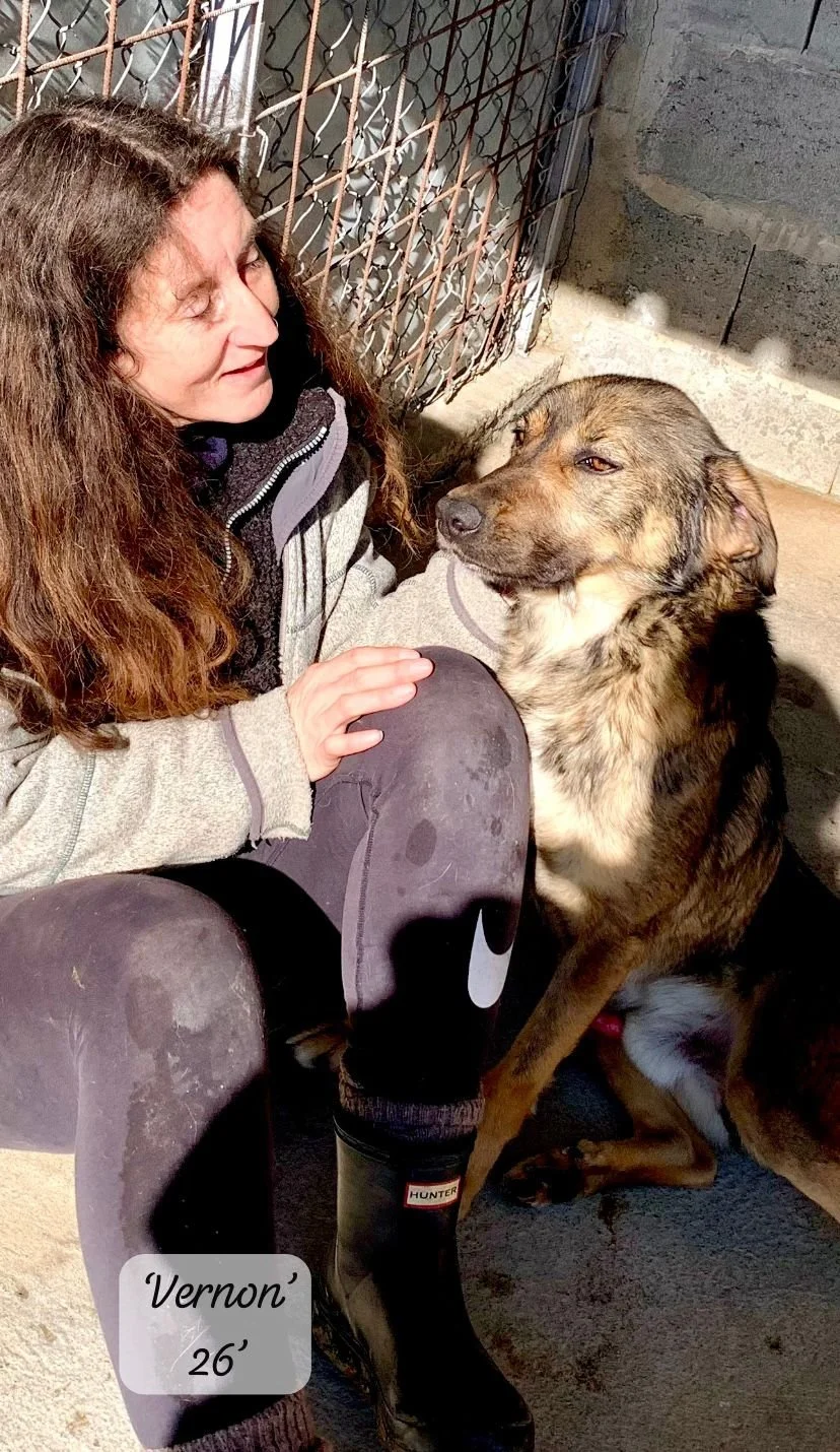 WhatsApp Image 2026-03-20 at 14.31.50 (2).jpeg