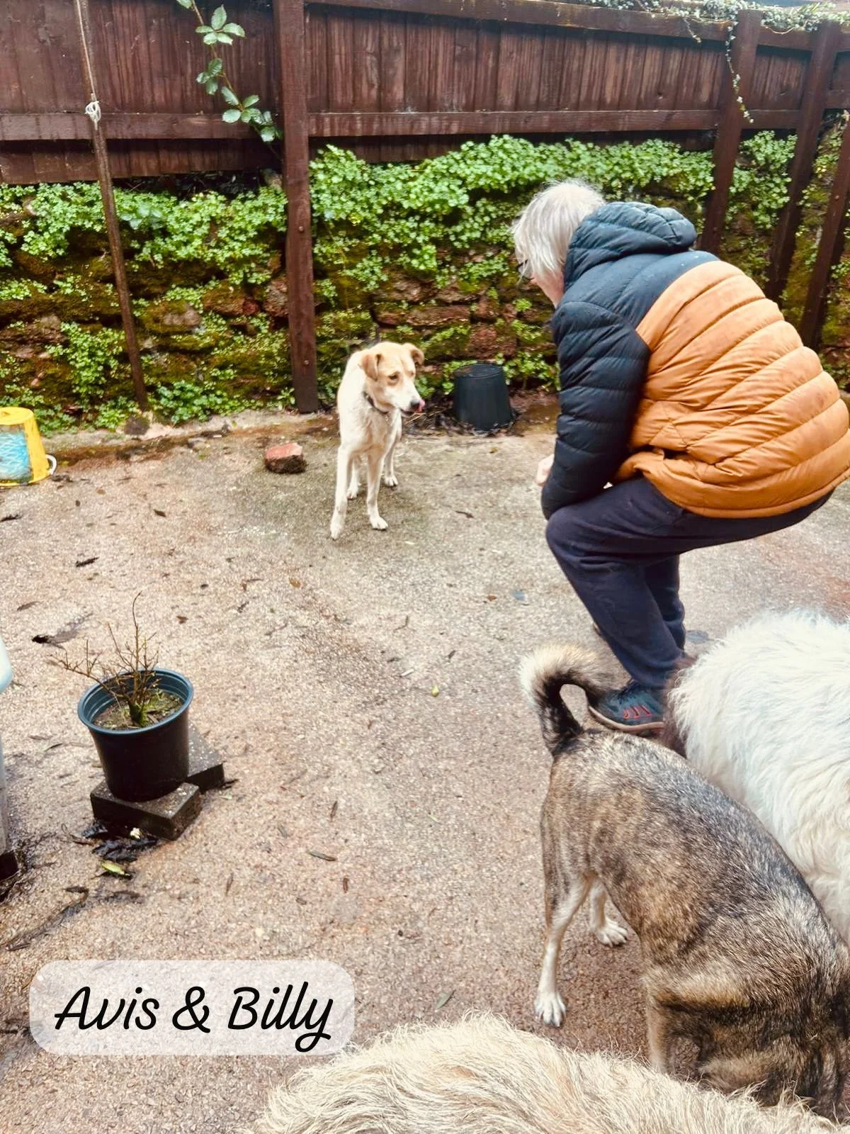 WhatsApp Image 2026-02-08 at 10.19.59 (2).jpeg