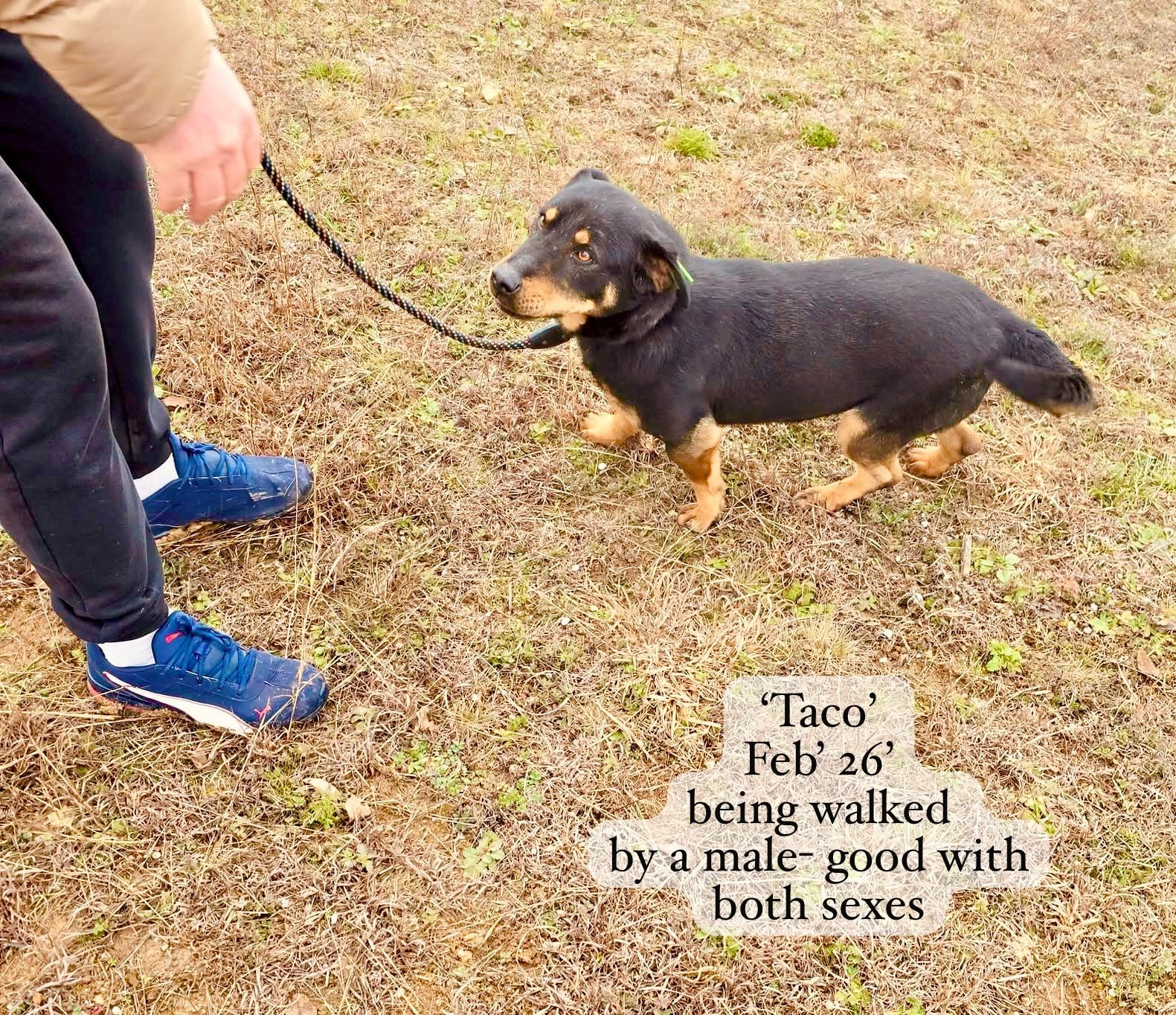 WhatsApp Image 2026-03-06 at 15.18.22.jpeg