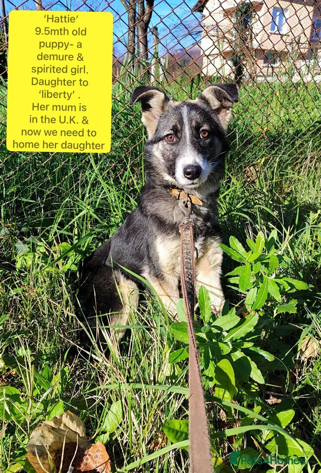 originalImage (1).webp