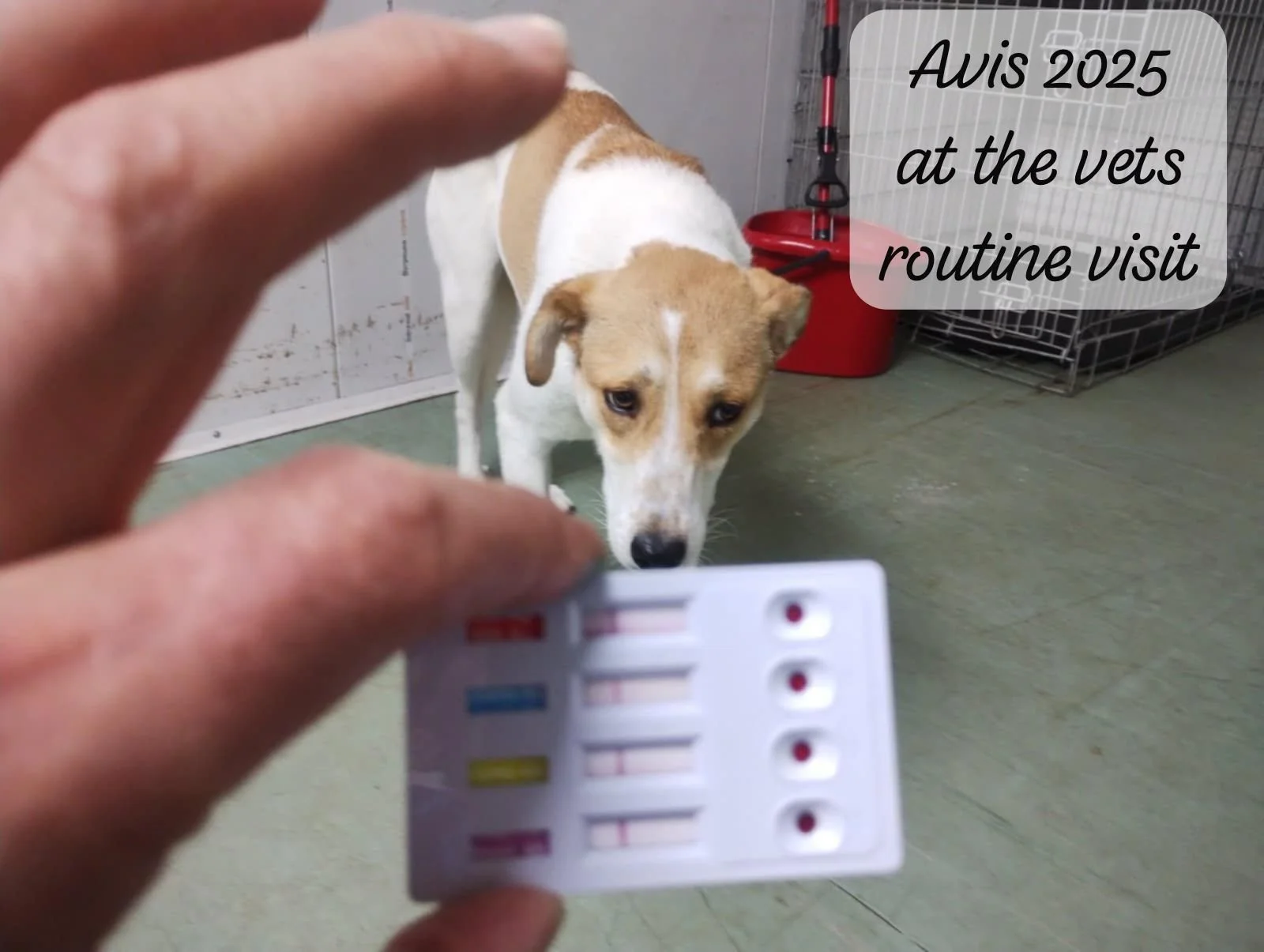 WhatsApp Image 2026-02-08 at 10.19.56.jpeg