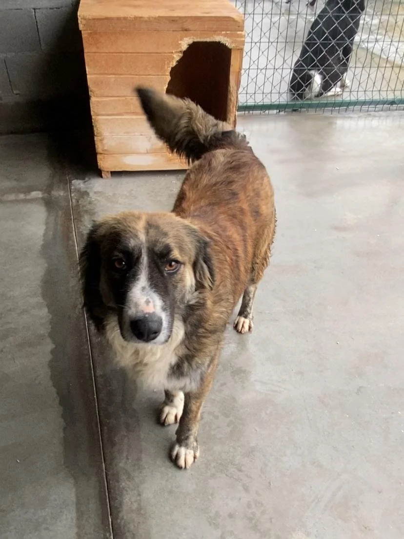 WhatsApp Image 2026-01-07 at 12.17.215.jpeg