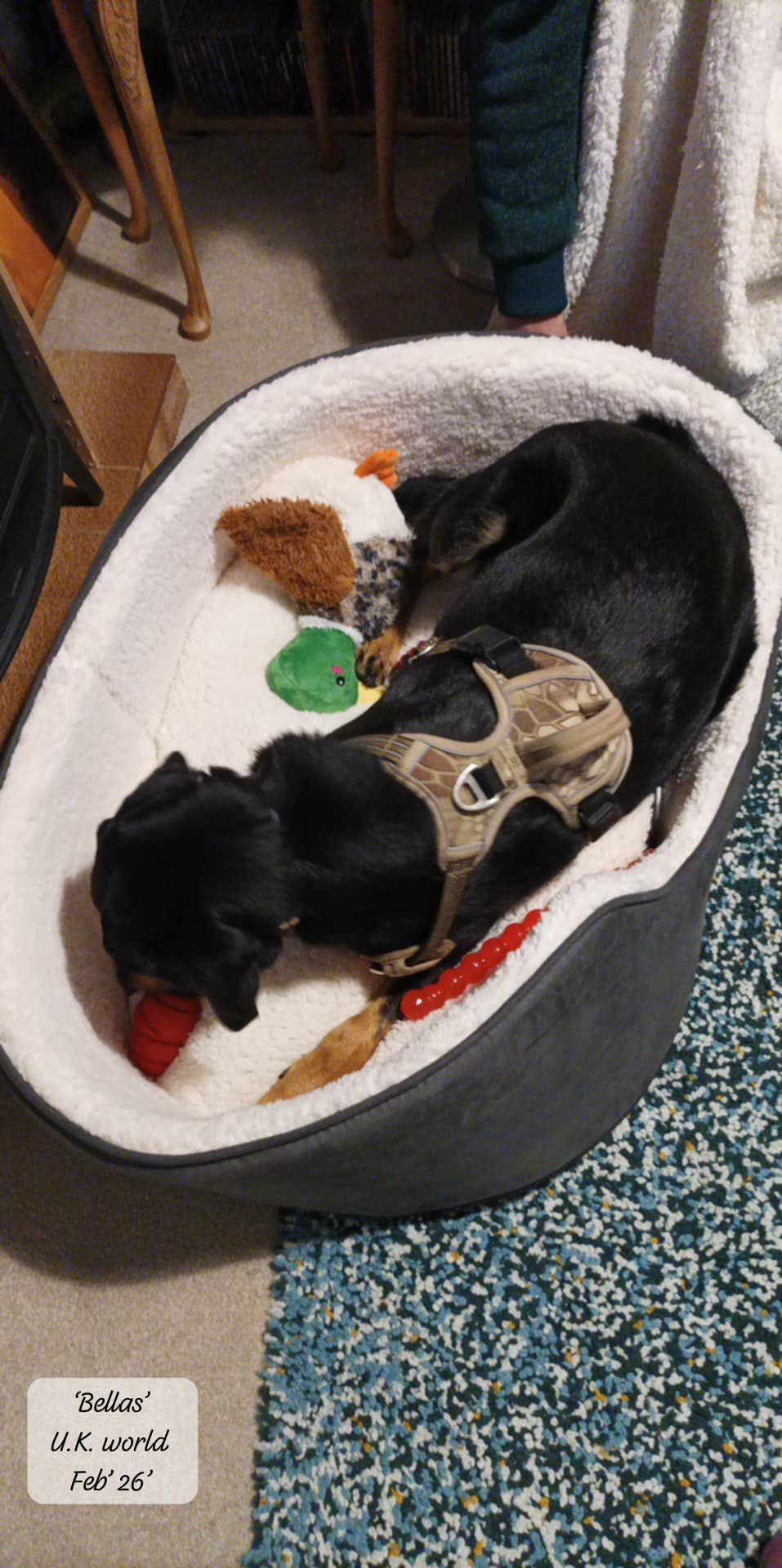 WhatsApp Image 2026-02-27 at 11.48.53 (2).jpeg