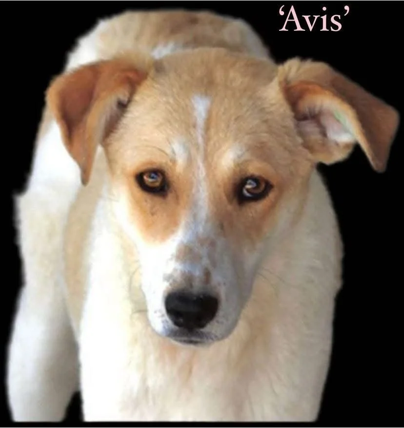 WhatsApp Image 2026-02-08 at 10.20.02.jpeg