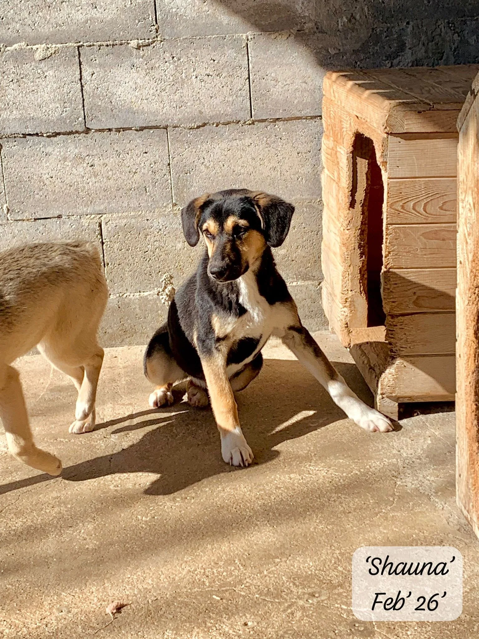 WhatsApp Image 2026-03-07 at 13.55.18 3.jpeg