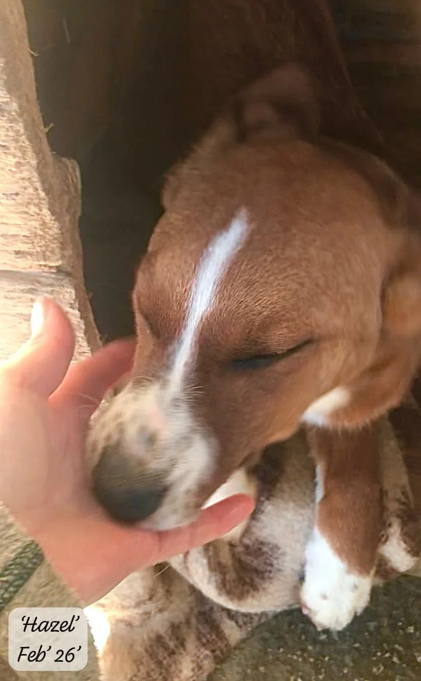 WhatsApp Image 2026-03-17 at 16.12.39 (3).jpeg