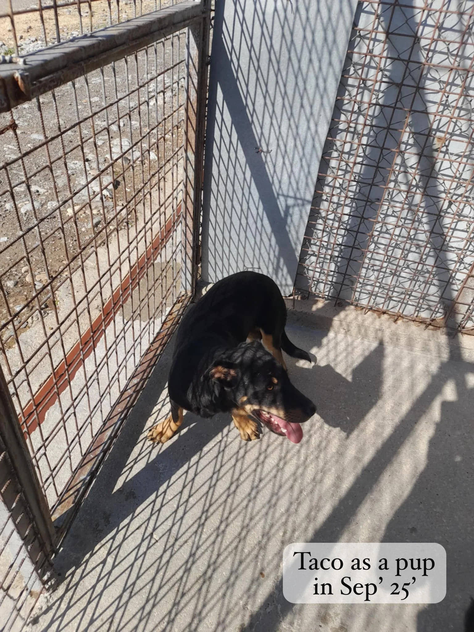 WhatsApp Image 2026-03-06 at 15.18.23.jpeg