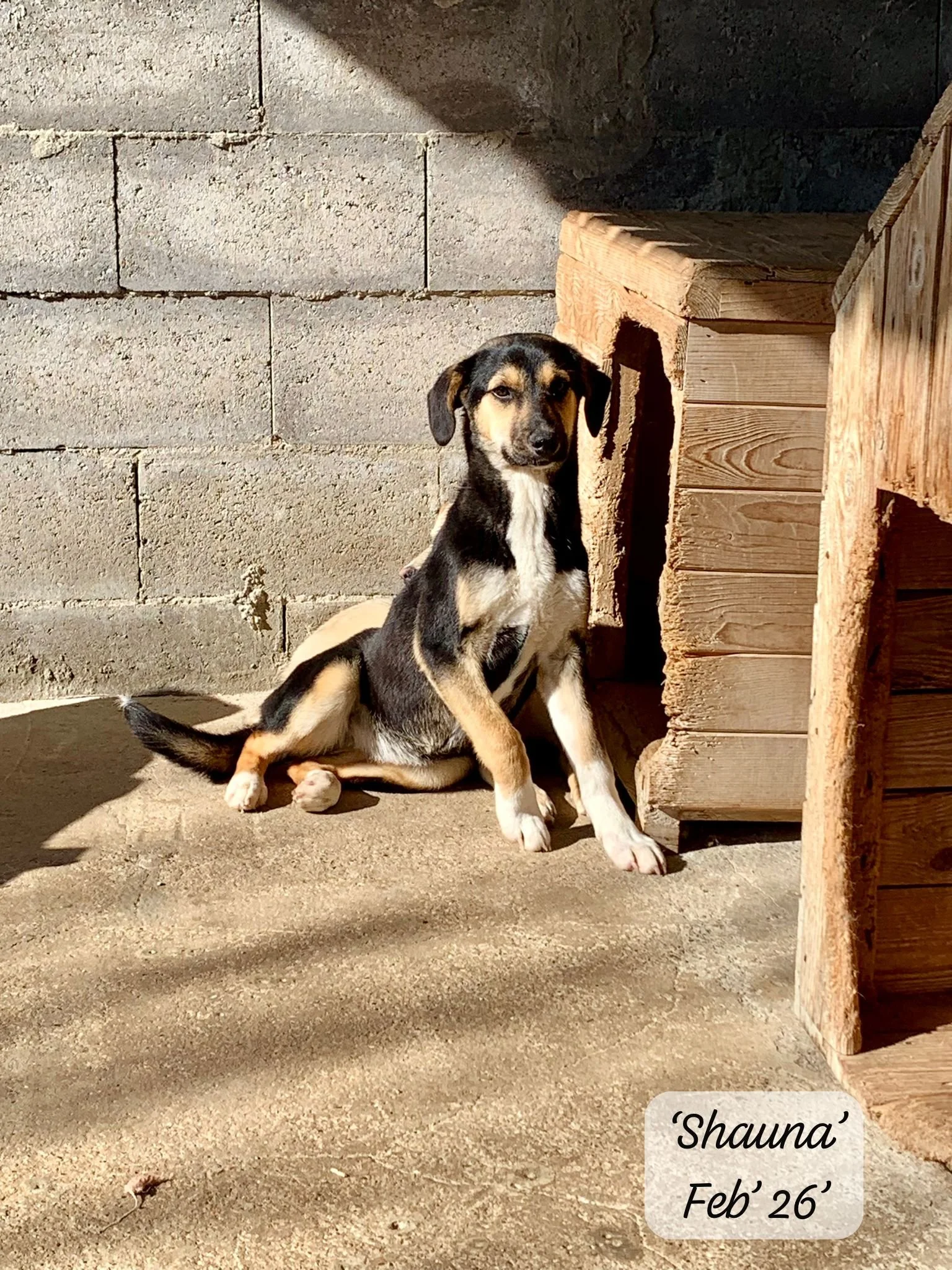 WhatsApp Image 2026-03-07 at 13.55.17 2.jpeg