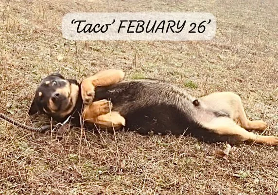 WhatsApp Image 2026-03-06 at 15.14.37.jpeg