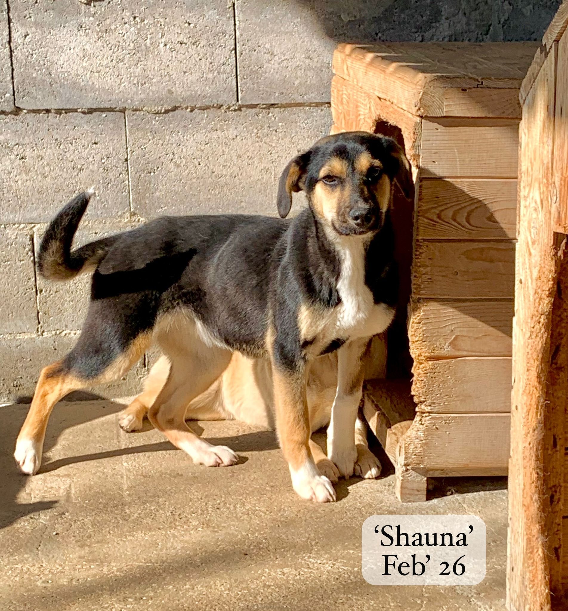 WhatsApp Image 2026-03-07 at 13.55.16 1.jpeg