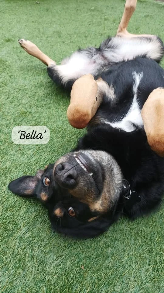 WhatsApp Image 2026-02-28 at 14.25.35.jpeg