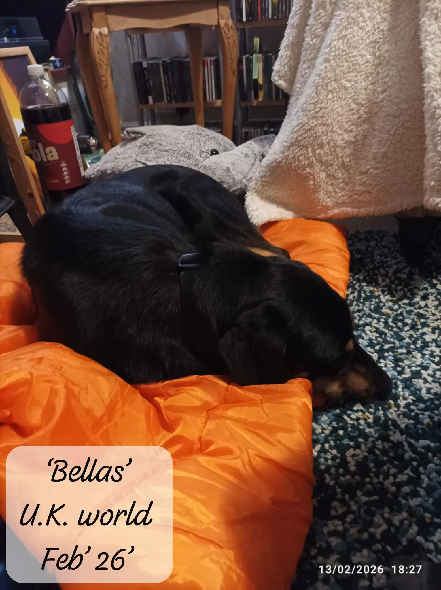 WhatsApp Image 2026-02-27 at 11.48.52.jpeg