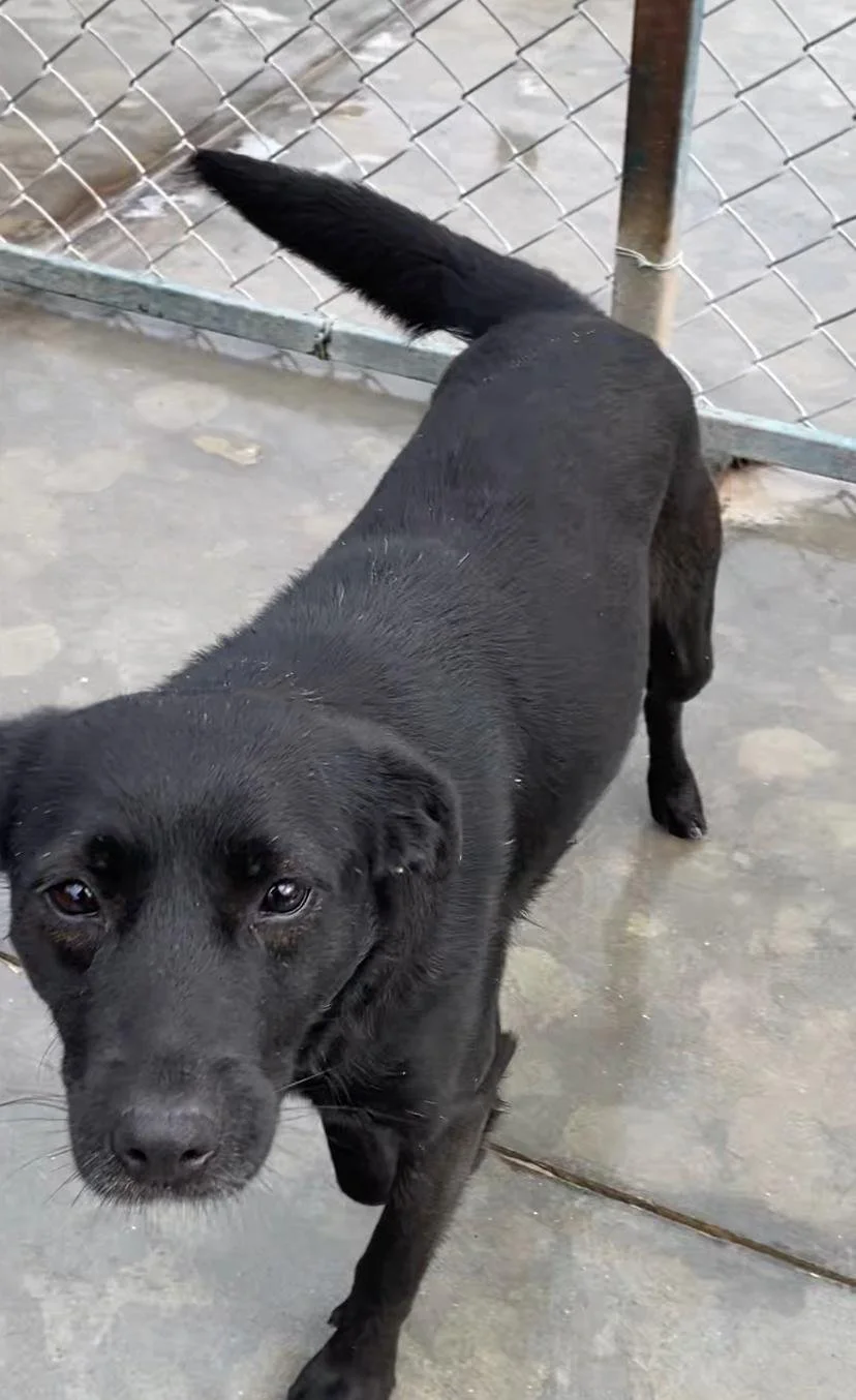 WhatsApp Image 2026-01-06 at 06.02.298.jpeg