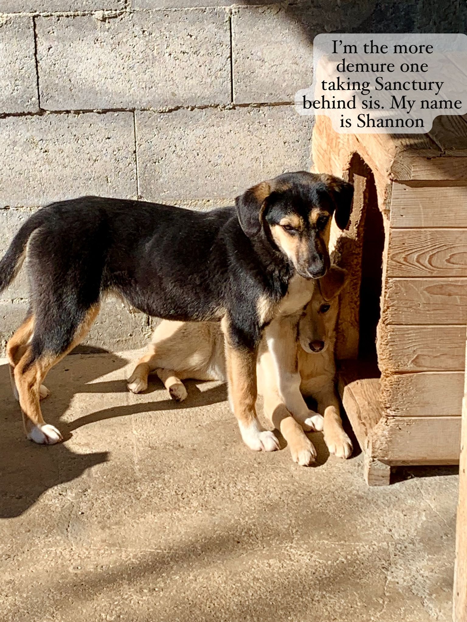 WhatsApp Image 2026-03-07 at 13.44.062.jpeg